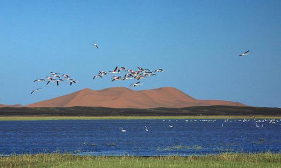 Le Lac Merzouga